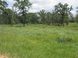 Lots 4-5 Hickory Loop