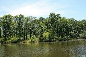 Lot 13 Private Road 5293 Lot 13