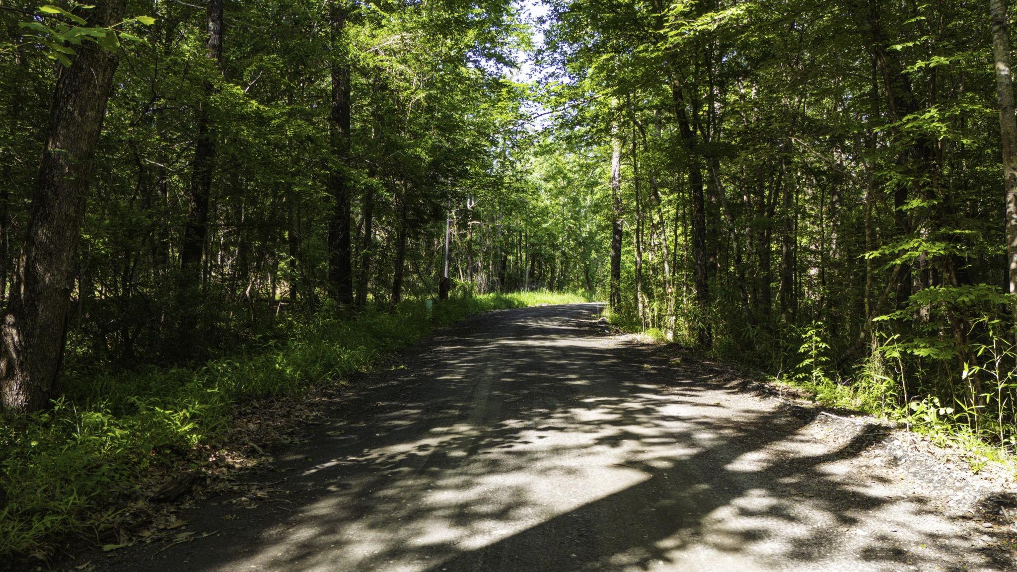 Image 2: Access/Frontage: CR 3160, FM 3065.