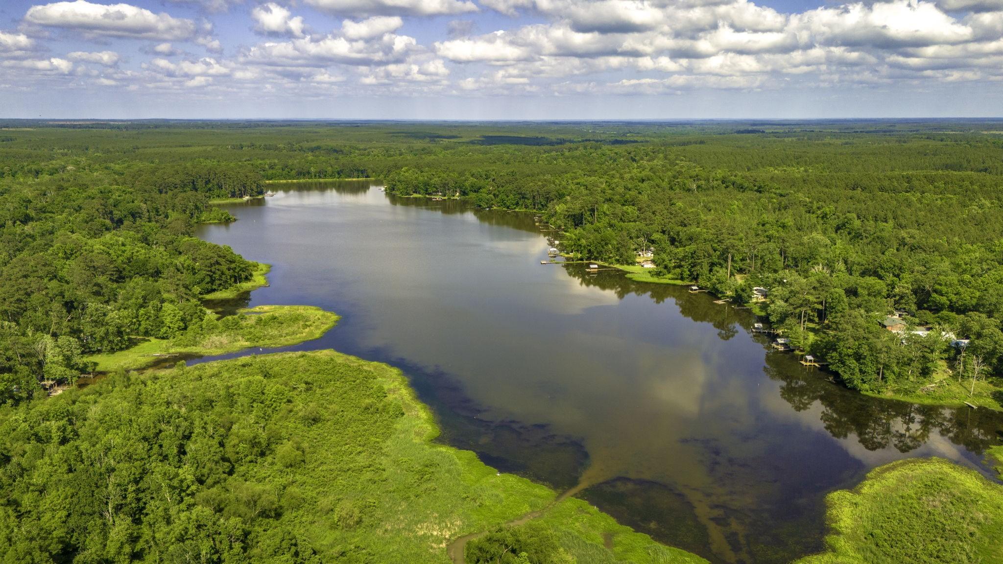 Image 3: 12.36 acres of beautiful East Texas land surrounde