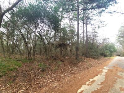 TBD Loper Lake DR Drive