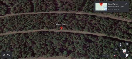 0000 Wood Forest