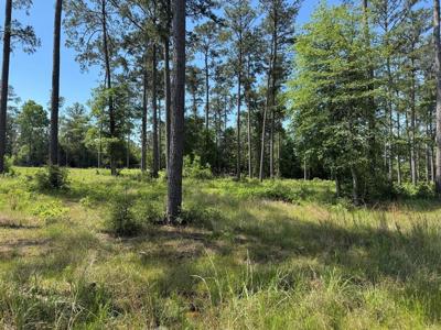 006 Private Road 6028 tract 1-6