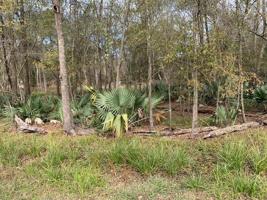 0 Pin Oak Lane