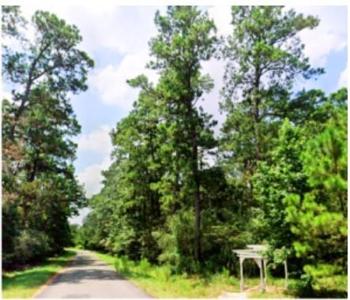 20123 Belleau Wood Drive