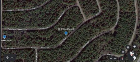000 Wood Forest