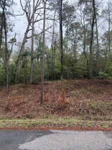 Lot 39, 40 & 41 S Lakeview Drive