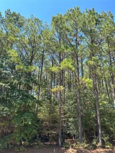 Lot 77 Westridge Park