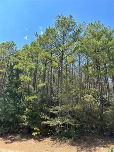 Lot 76 Westridge Park