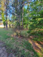 0 Ernest Cochran Road