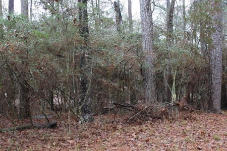 Lot 6 Magnolia Street