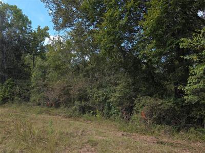 TBD Hidden Cove Drive