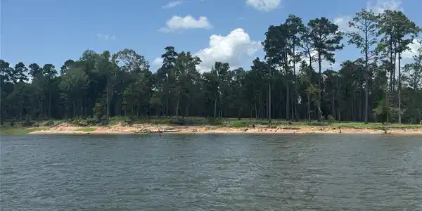 162 Foster Cove