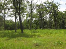 Lots 10-11 Cedar Lane