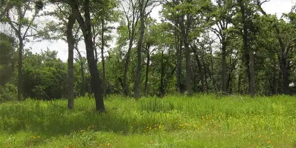 Lots 10-11 Cedar Lane