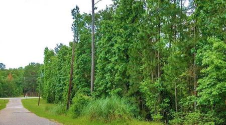 0 Arrow Head Lane