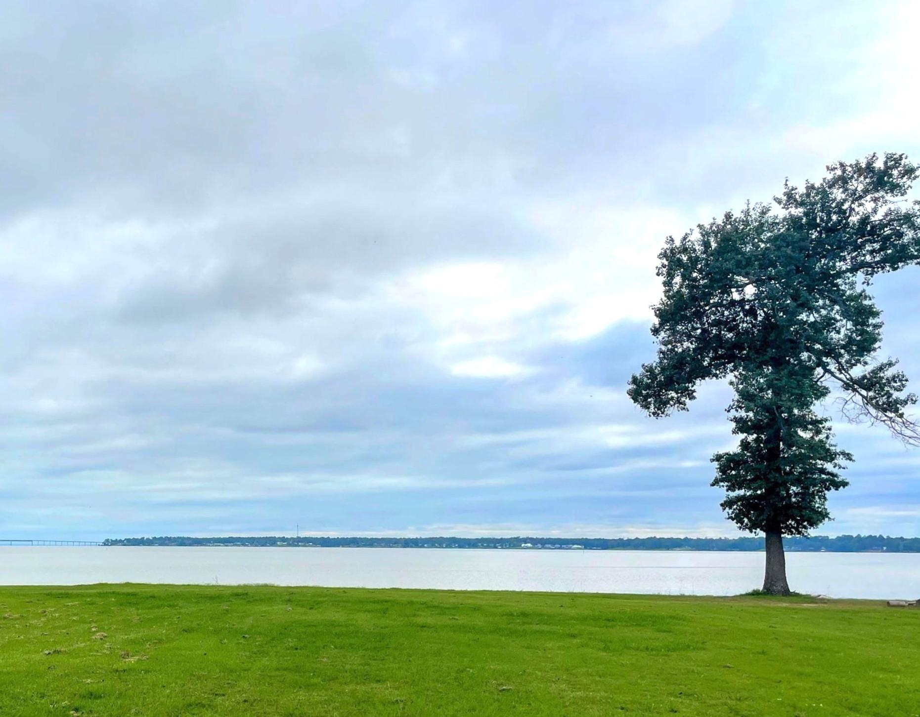 Image 4: View of Lake Livingston looking across the propert