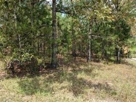 LOT 40 Landing Way