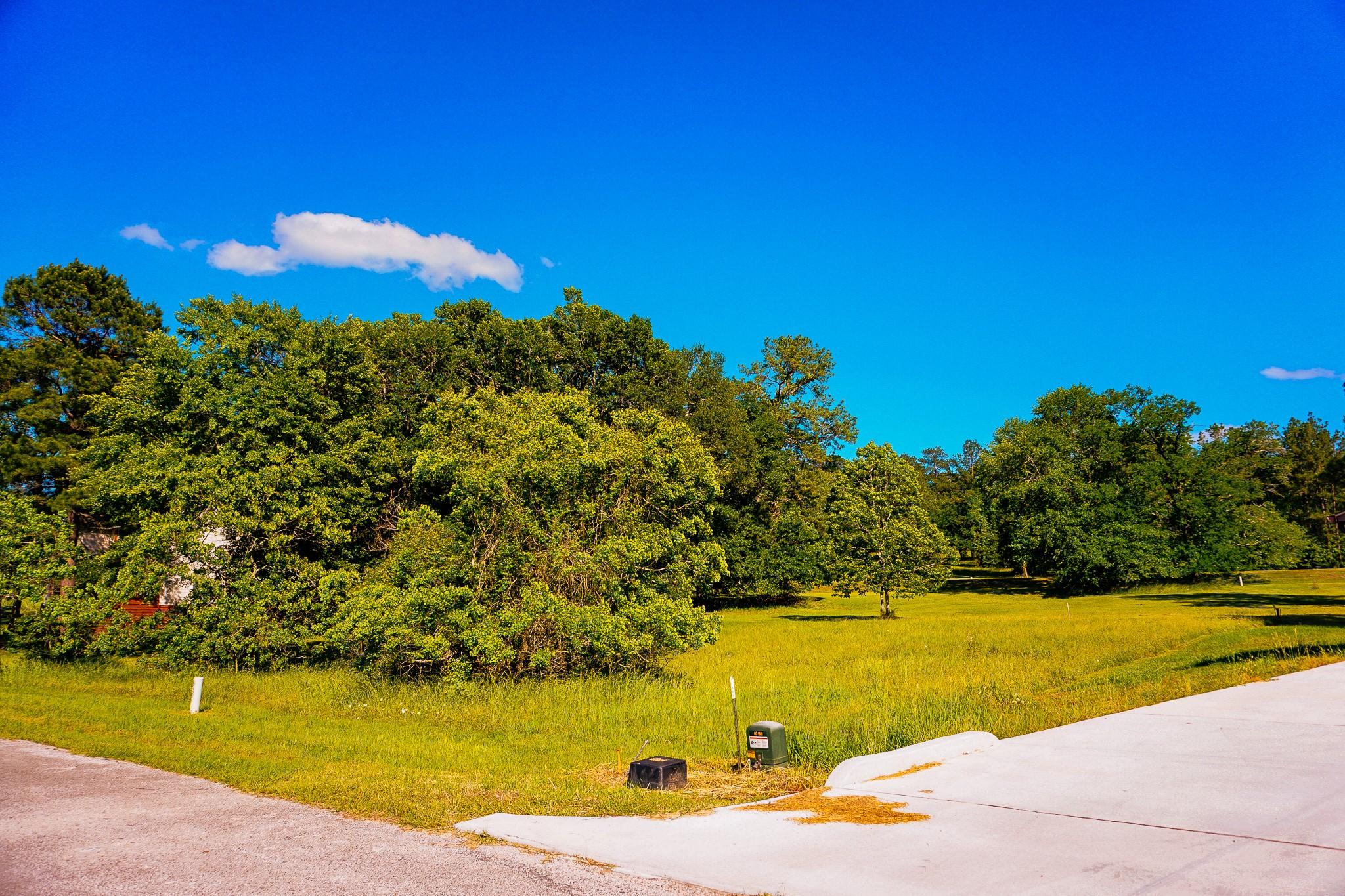 Image 3: Front of neighbor's driveway, looking back to lot.