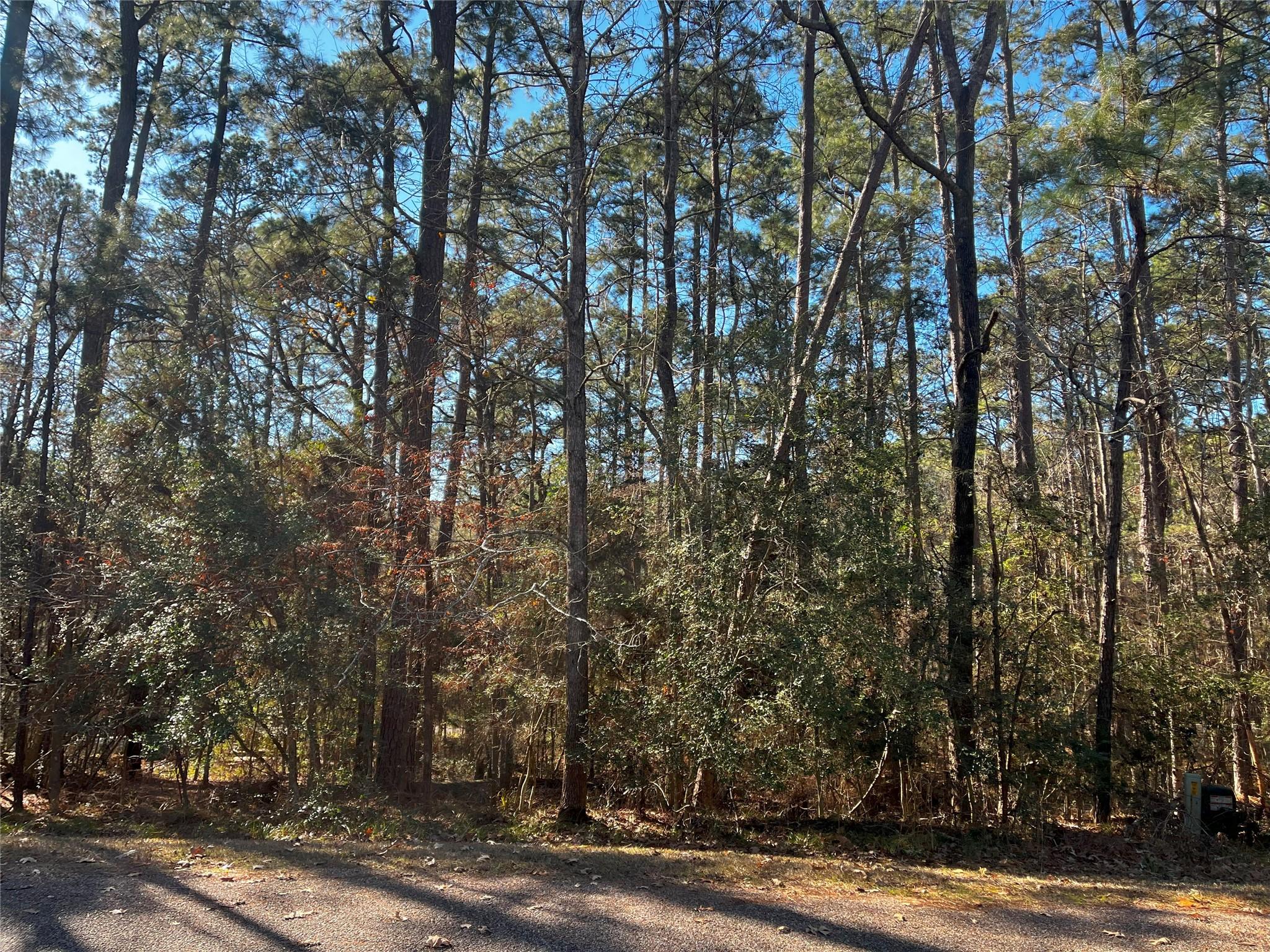 Image 1: 61 Sunny Hill in the Kings Ridge #1 section of Cap