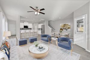 338 Emerald Thicket Lane