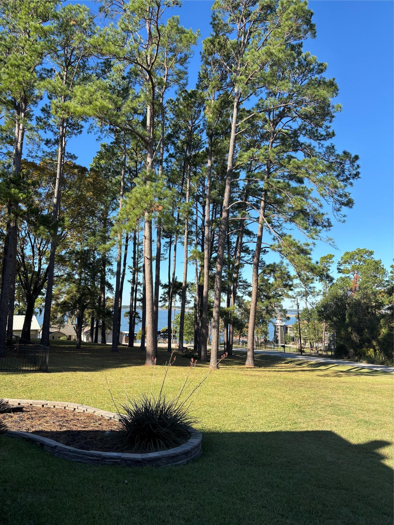 Image 2: View from the front porch.