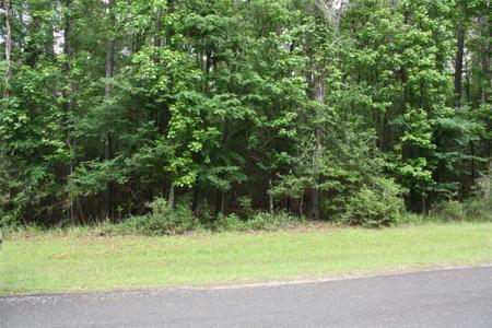 10 Lakeway Drive