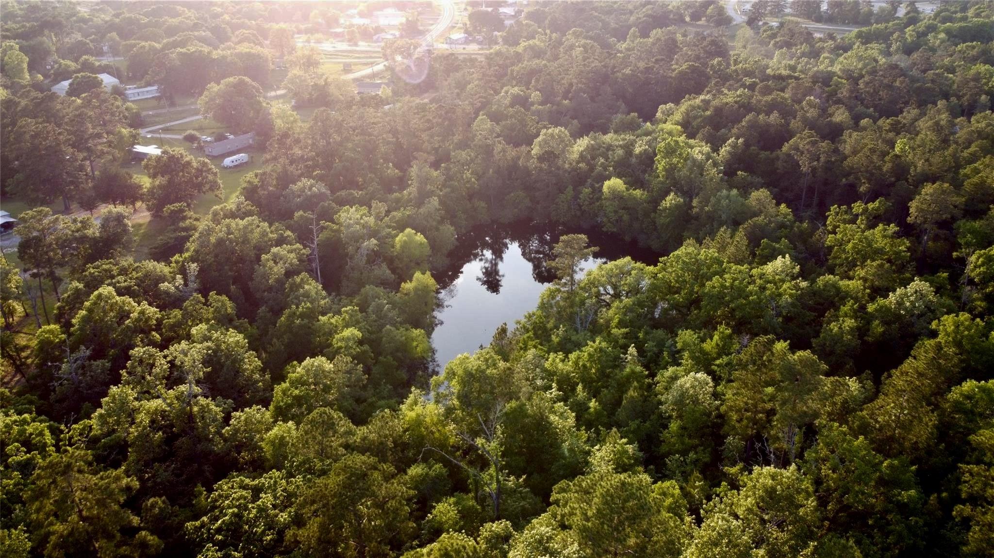 Image 4: This aerial photo showcases a tranquil wooded area