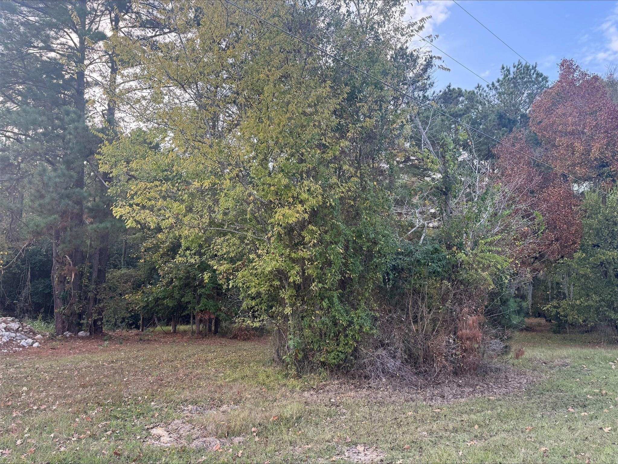 Image 1: Welcome to Silver Hickory Drive in Holiday Shores