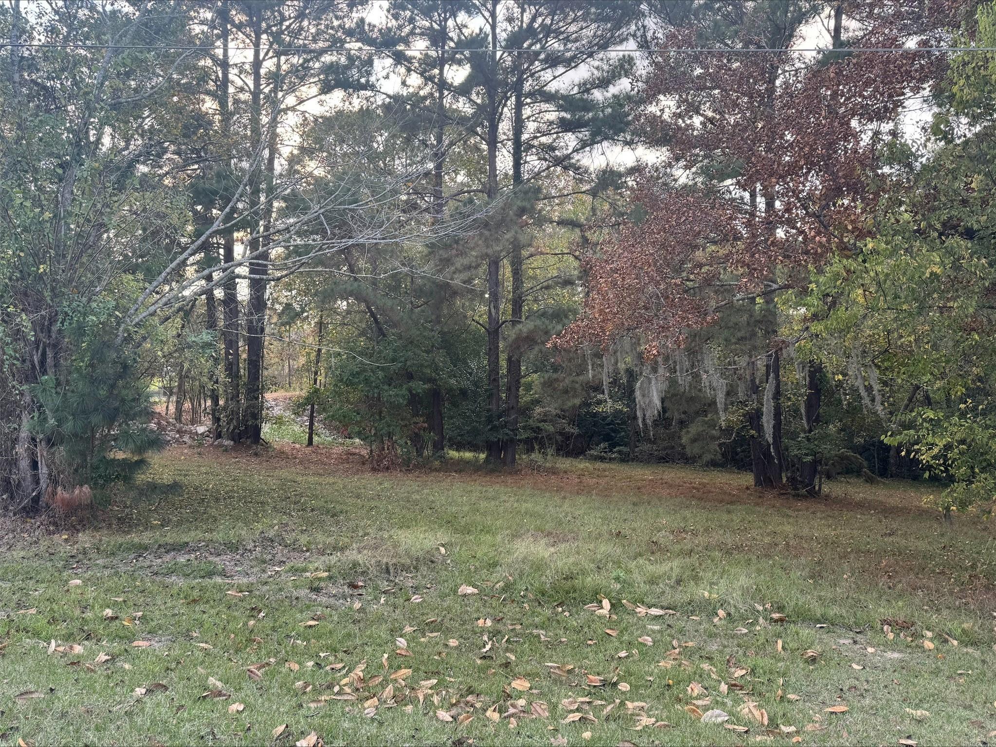 Image 3: 0.34 acre lot