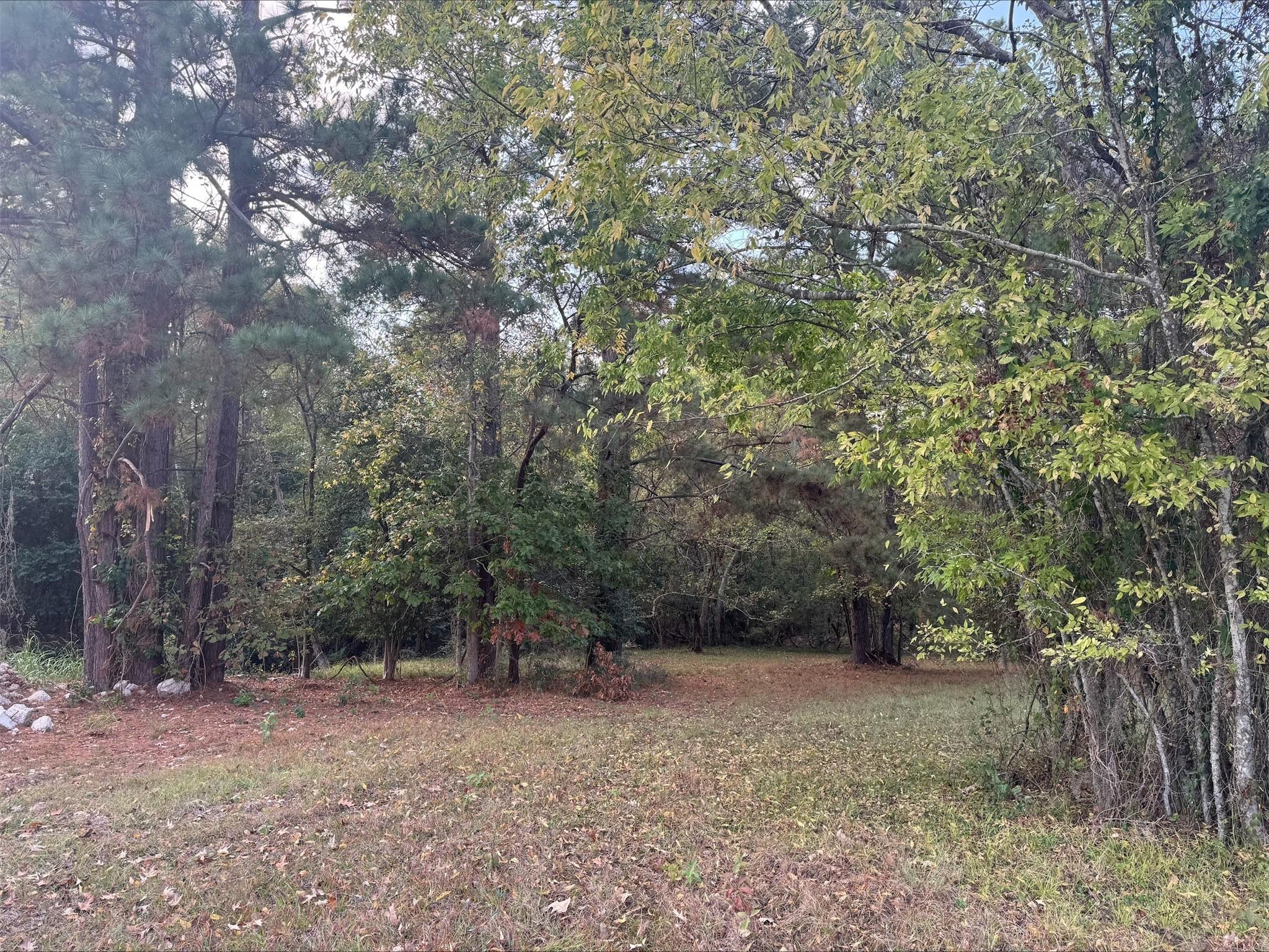 Image 4: Lot 216 in Holiday Shores Sub 3