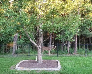13826 Slate Mountain Lane