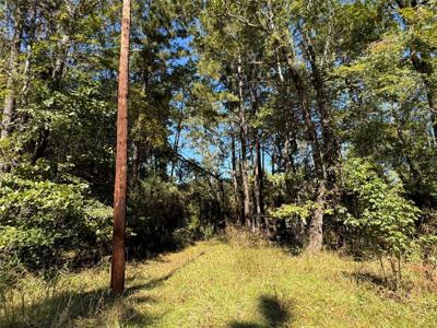 TBD Westwood Trail