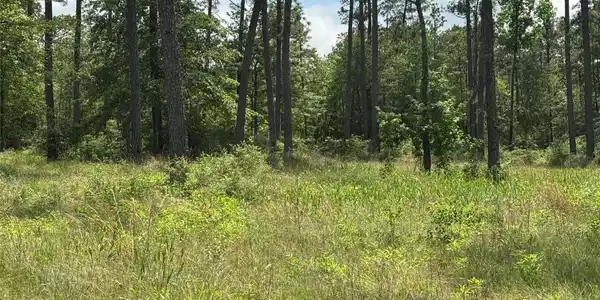 011 Private Road 6028