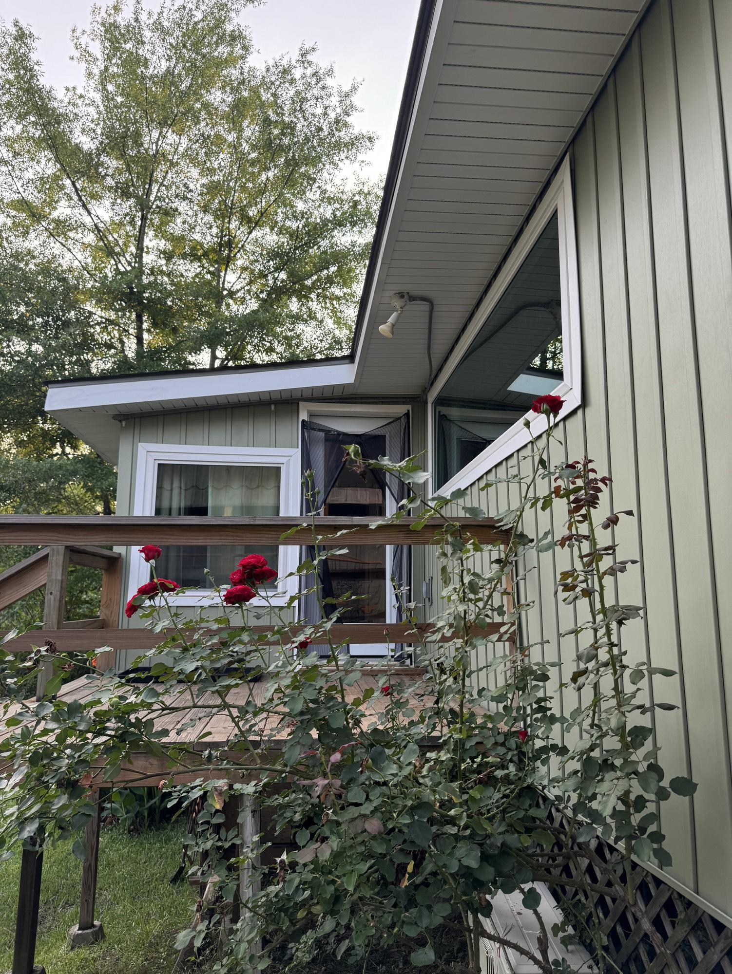 Image 4: Roses adorn the brand new siding as you step out o