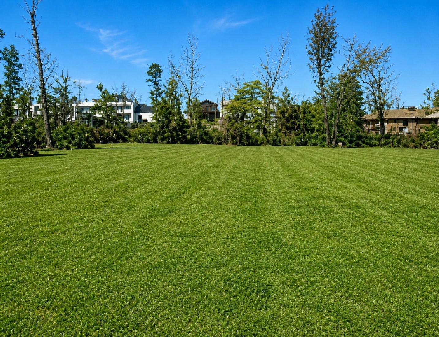 Image 3: Two side-by-side lots for sale&mdash;buy one or grab bot