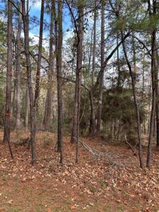 210 Twinstone Drive