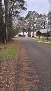 TBD Paradise Loop