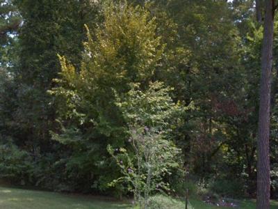 0 Lakeview Drive