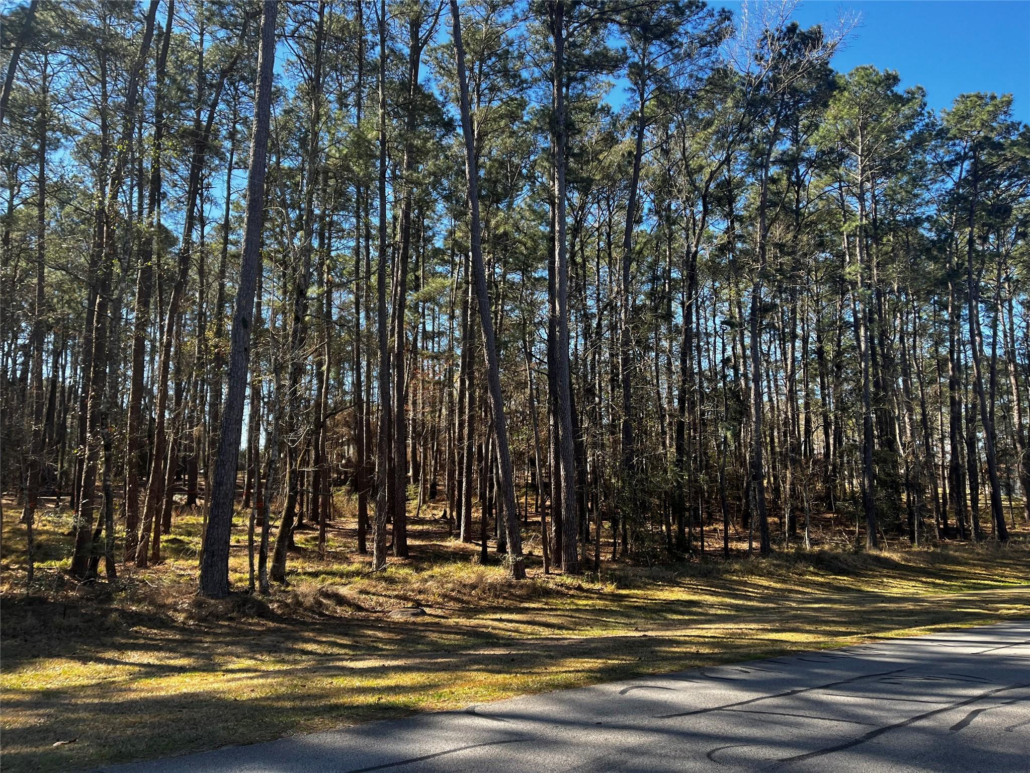 Image 1: Welcome to these three adjacent lots in the gated
