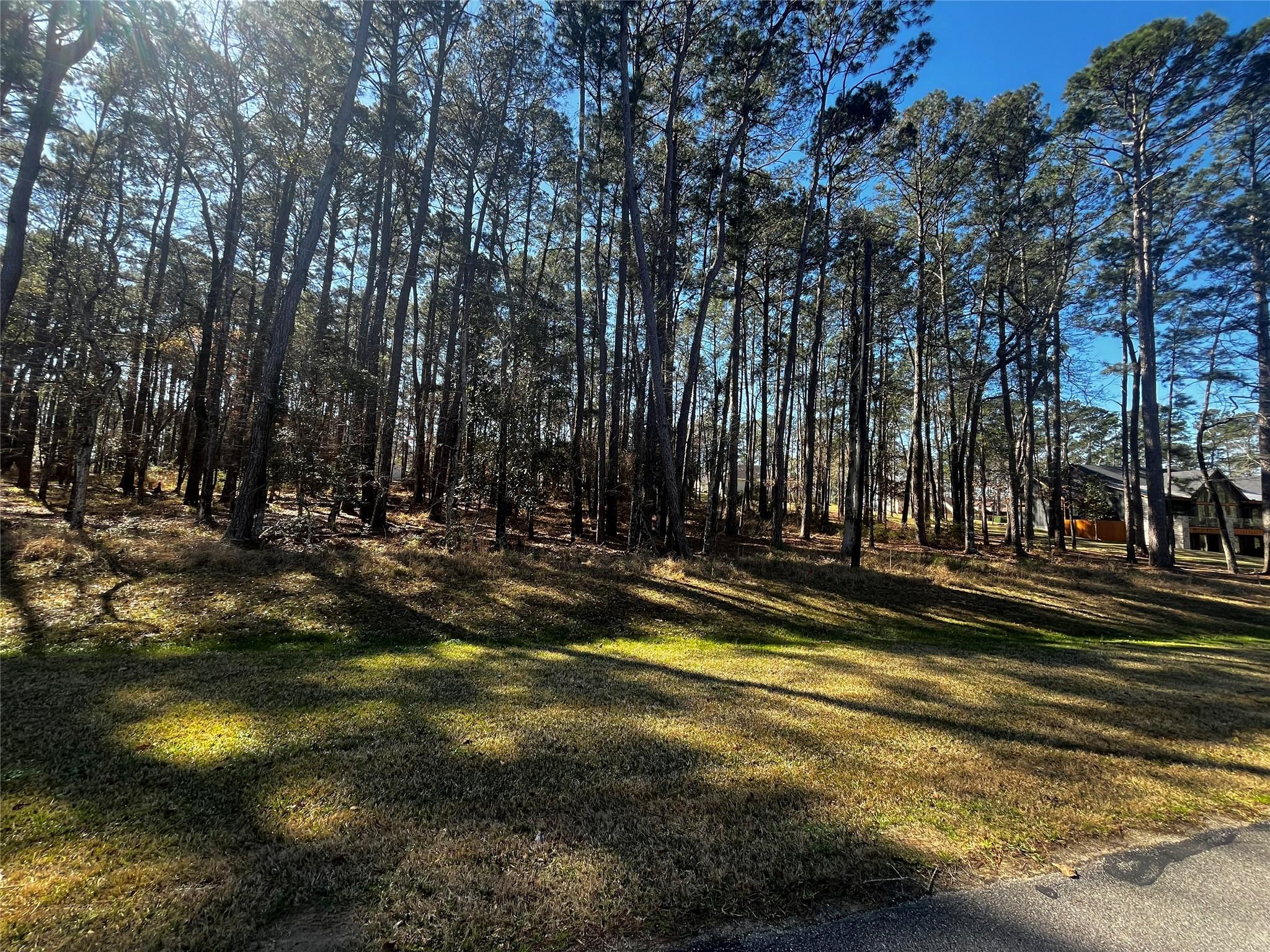 Image 4: View of 3 lots from Cape Royale drive