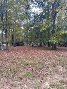 TBD Kingwood Drive