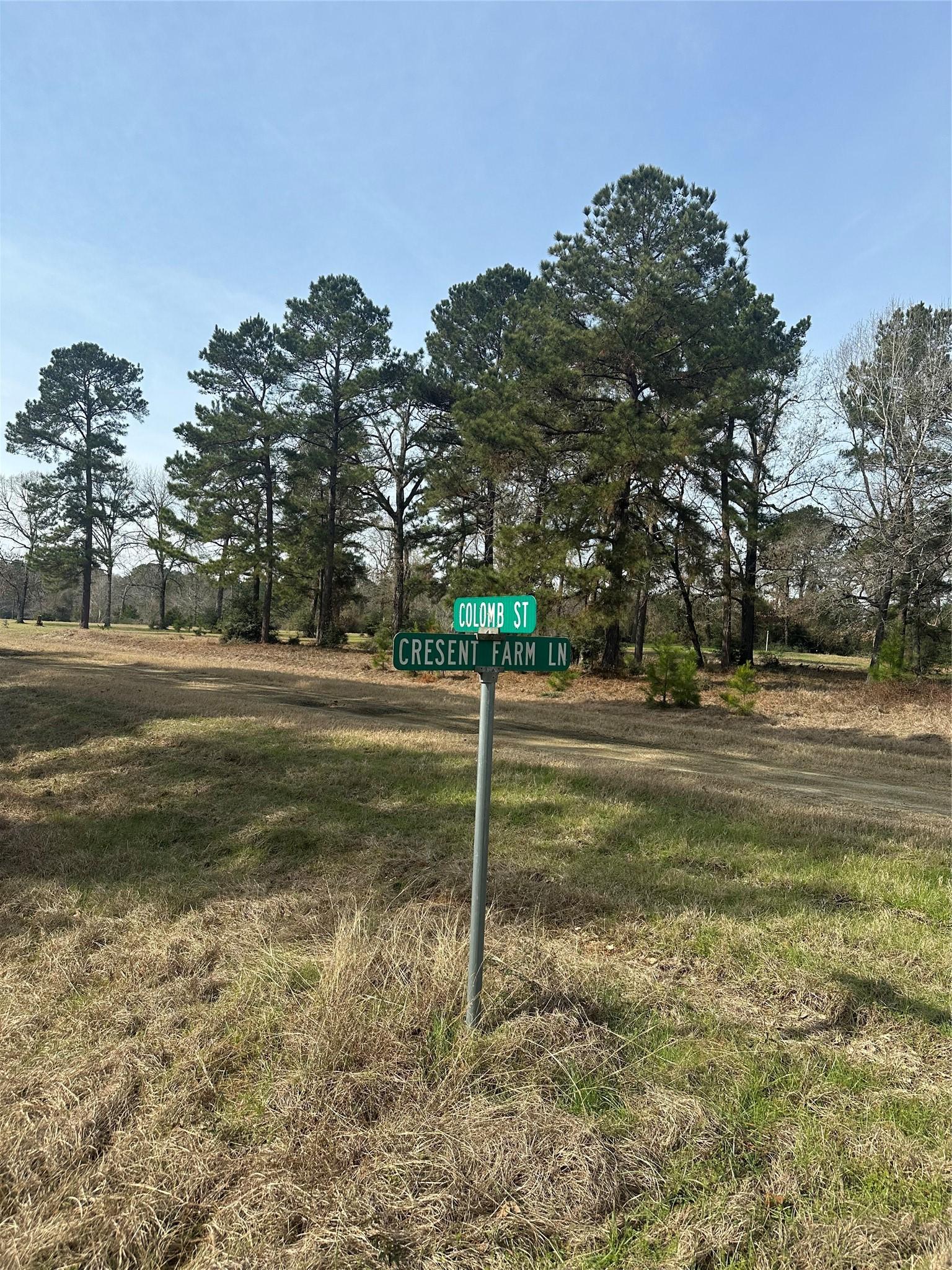 Image 2: street sign at the corner of Colomb and Cresent Fa