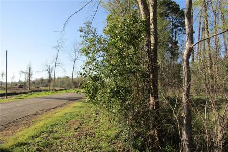 TBD Emerald Lane