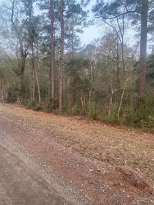 TBD Hill Creek Drive