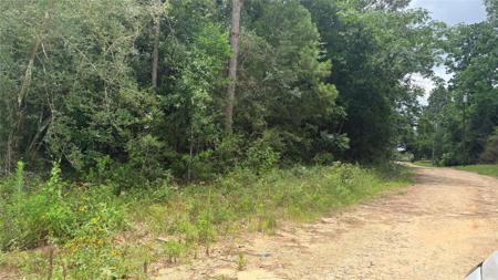 LOT 1 Millcreek Drive