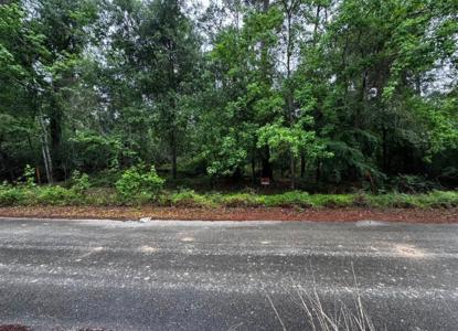 0 Lakelane Drive