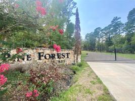 470 Pine Forest Acres Drive