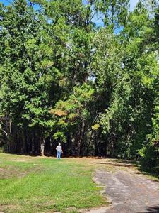 TBD Plum Tree Road