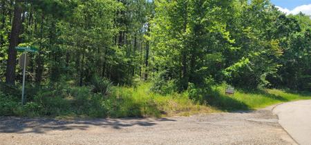 551 Wilderness Road